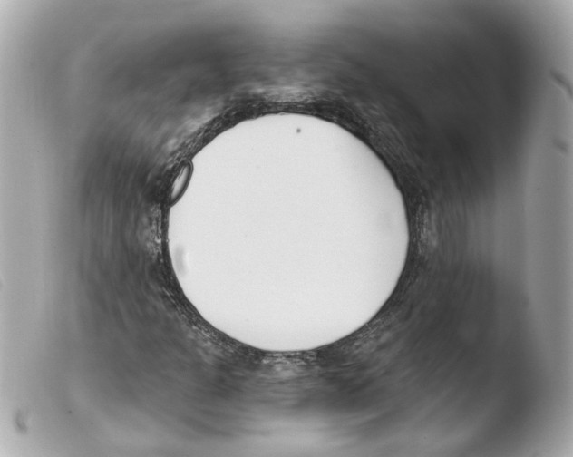 X0000103471301200810100925