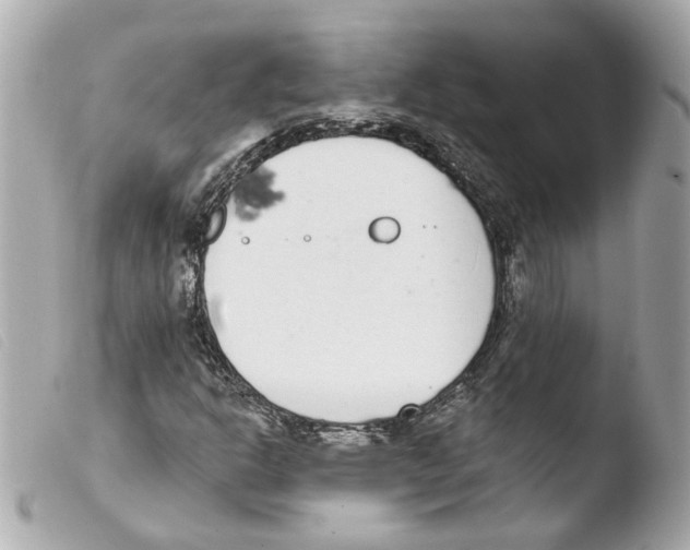 X0000103471302200810100925