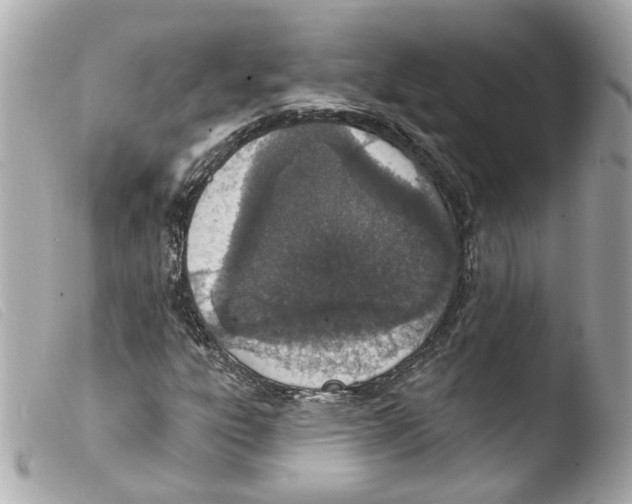 X0000103471303200810100925