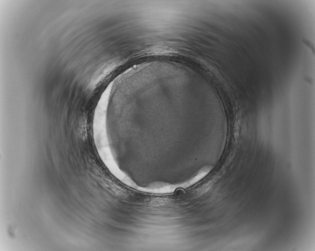 X0000103471306200810100925