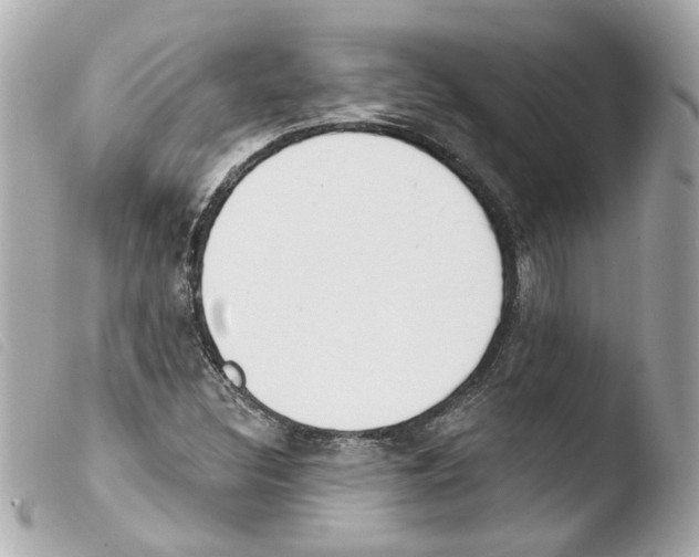 X0000103471308200810100925