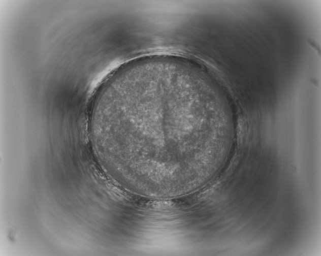 X0000103471310200810100925