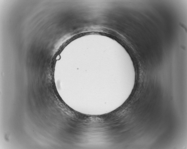 X0000103471312200810100925