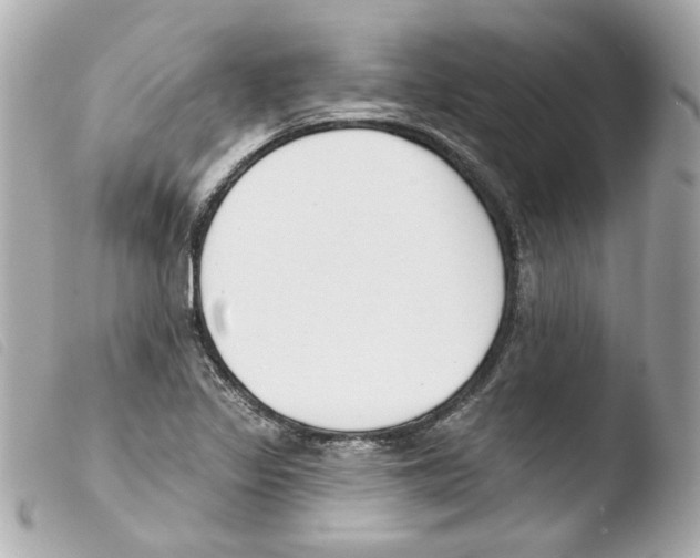 X0000103471317200810100926