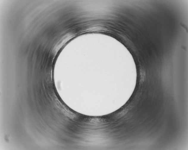 X0000103471322200810100926