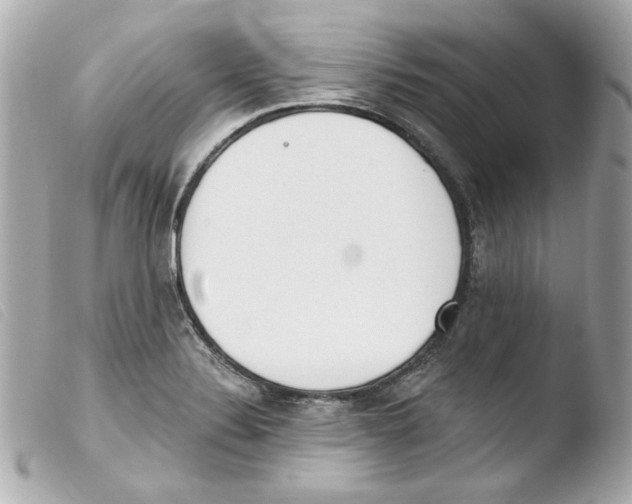 X0000103471324200810100926