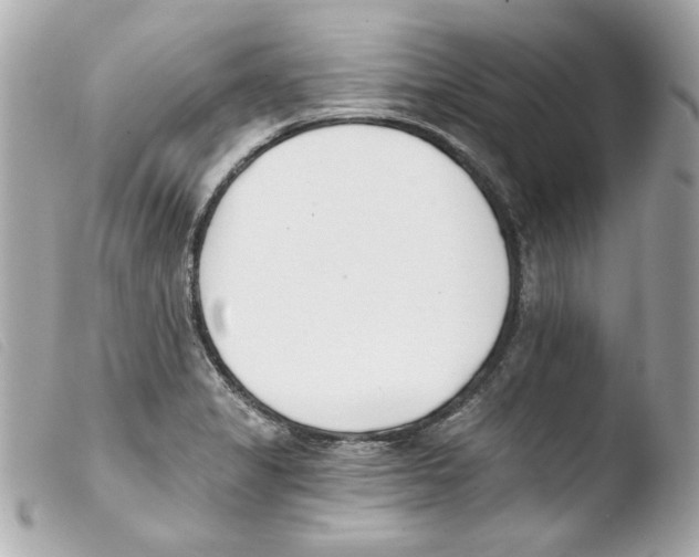 X0000103471325200810100926
