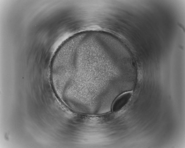 X0000103471326200810100926