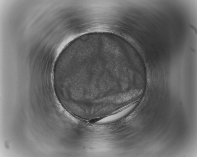 X0000103471334200810100926