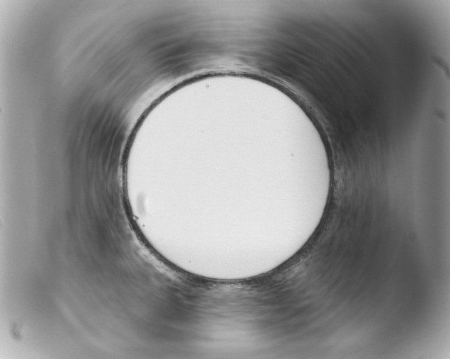 X0000103471335200810100926