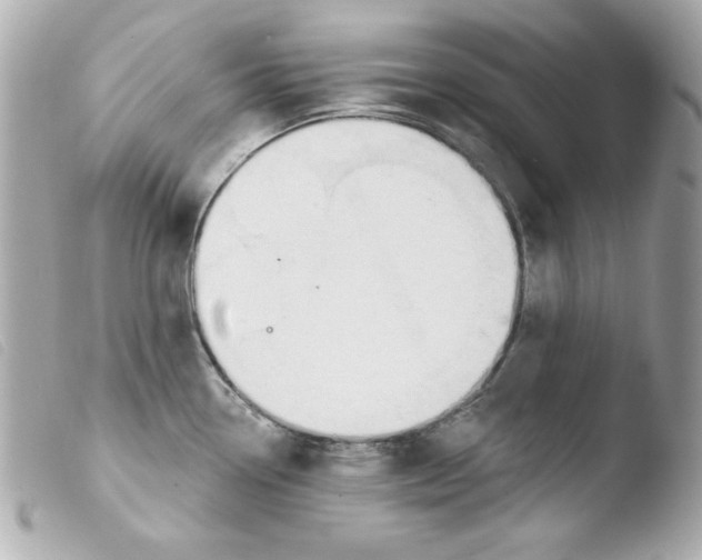X0000103471338200810100926