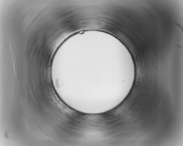 X0000103471340200810100926