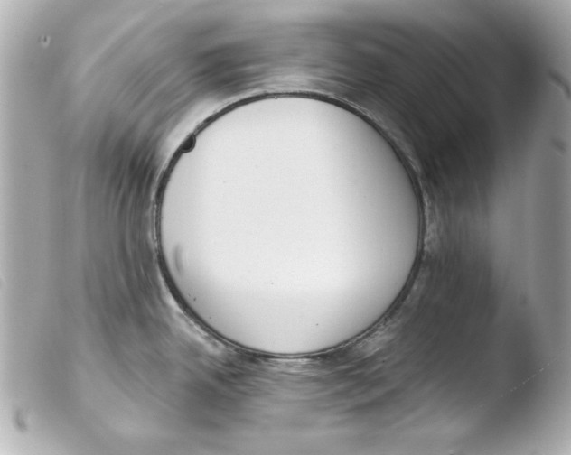 X0000103471342200810100926