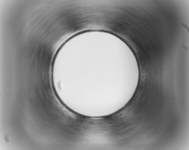 X0000103471343200810100926