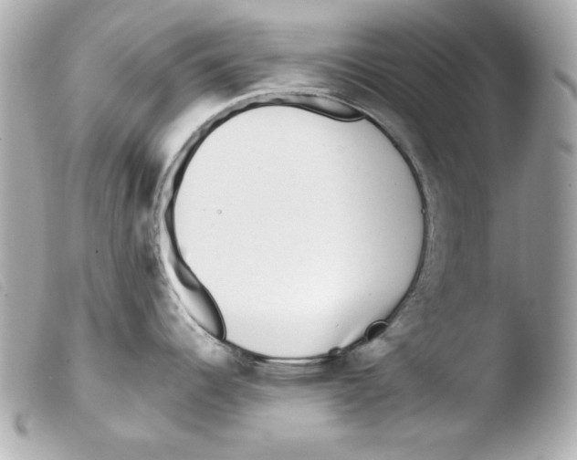 X0000103471344200810100926