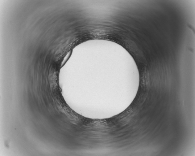 X0000103471346200810100925
