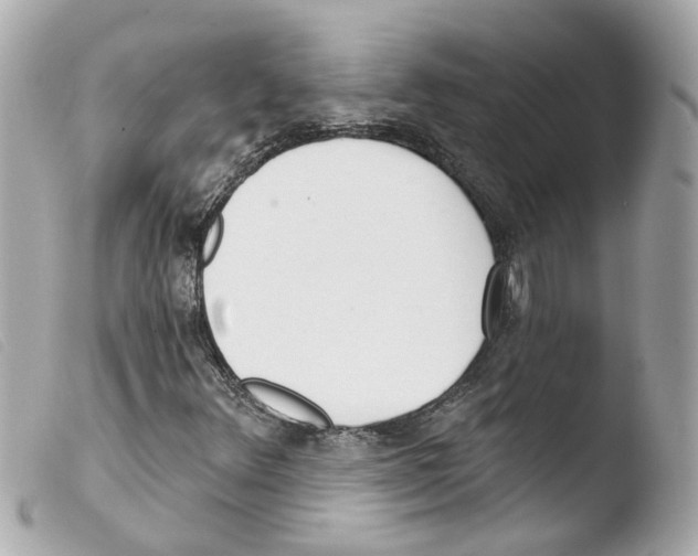 X0000103471348200810100925