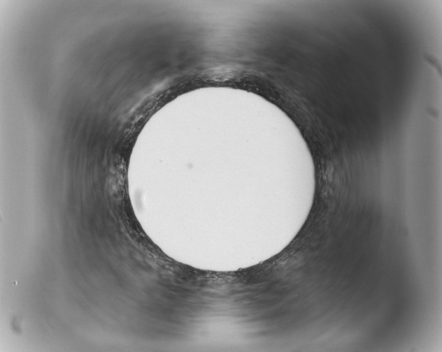 X0000103471349200810100925