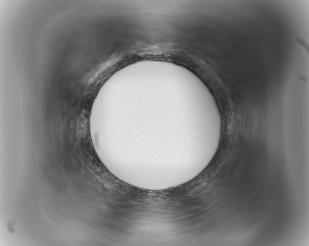 X0000103471350200810100925