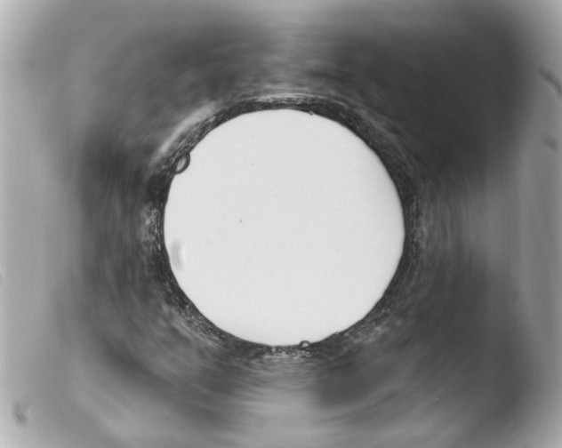 X0000103471351200810100925