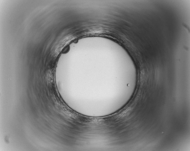 X0000103471353200810100925