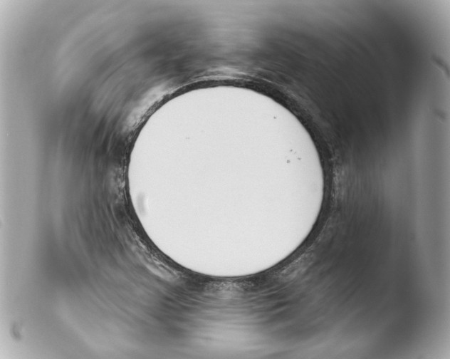 X0000103471355200810100925