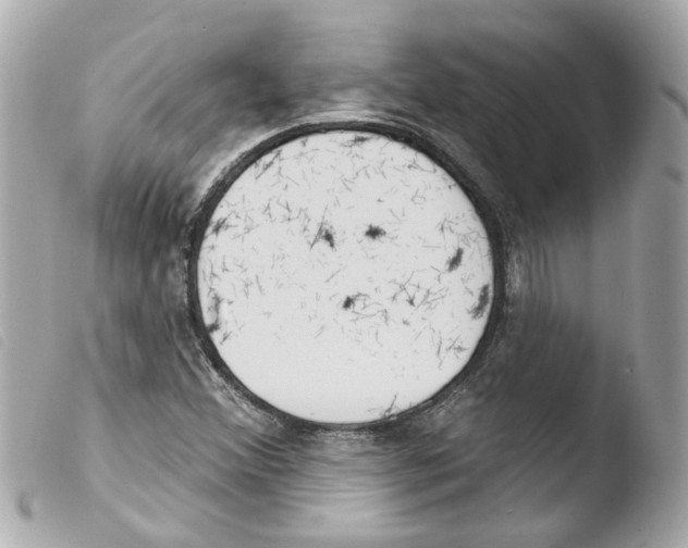 X0000103471356200810100925