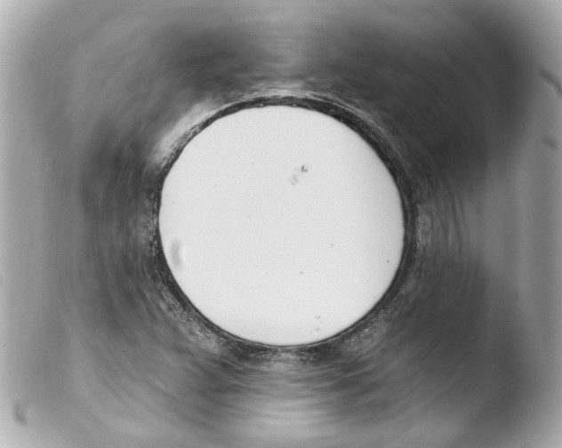 X0000103471359200810100925