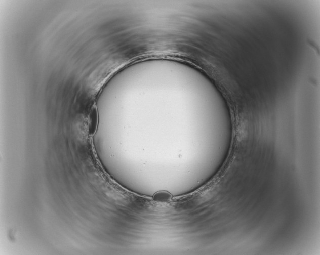 X0000103471361200810100925
