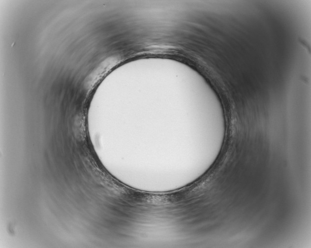 X0000103471362200810100925