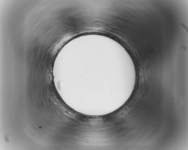 X0000103471363200810100925