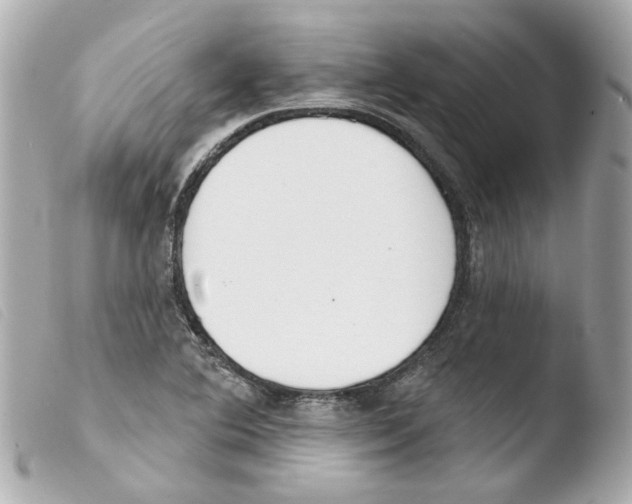 X0000103471364200810100925