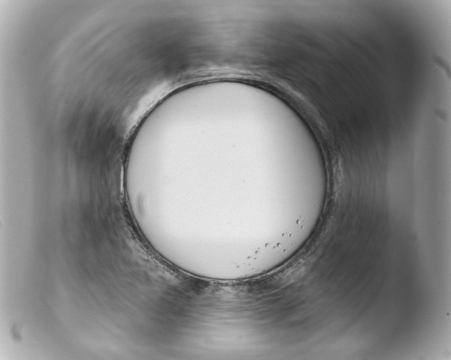 X0000103471365200810100925