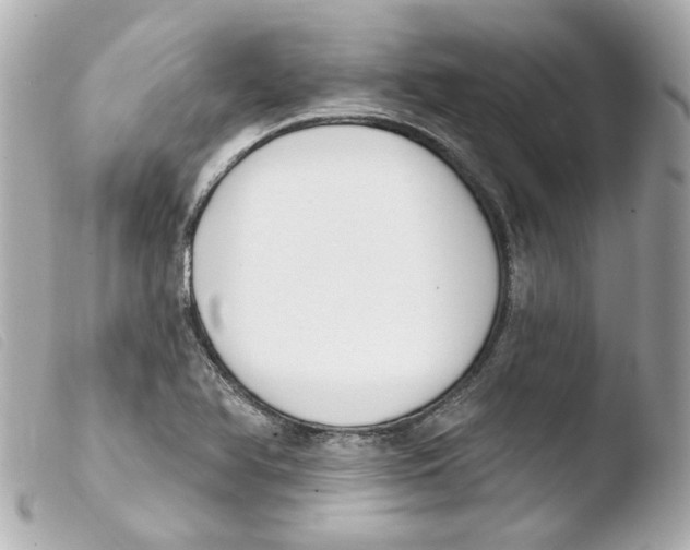 X0000103471366200810100925