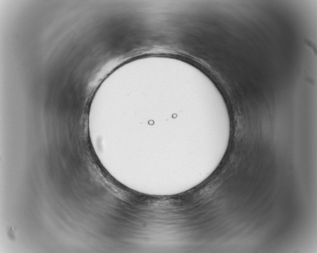 X0000103471367200810100925