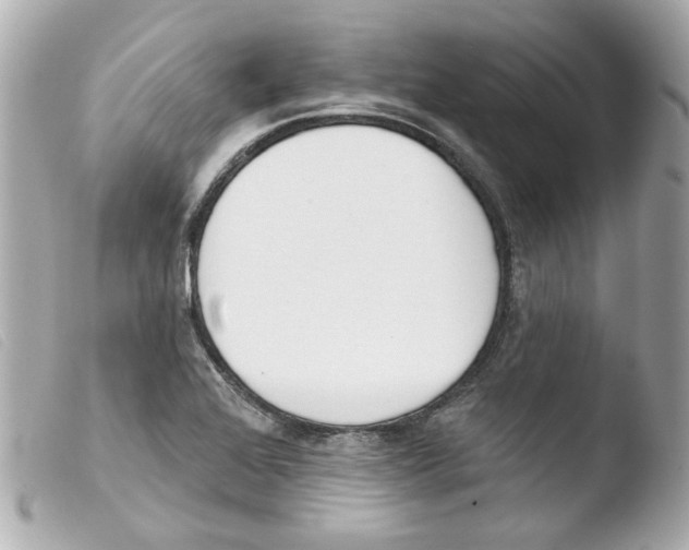 X0000103471368200810100925