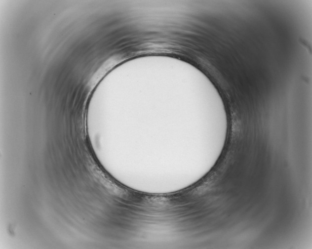 X0000103471370200810100925