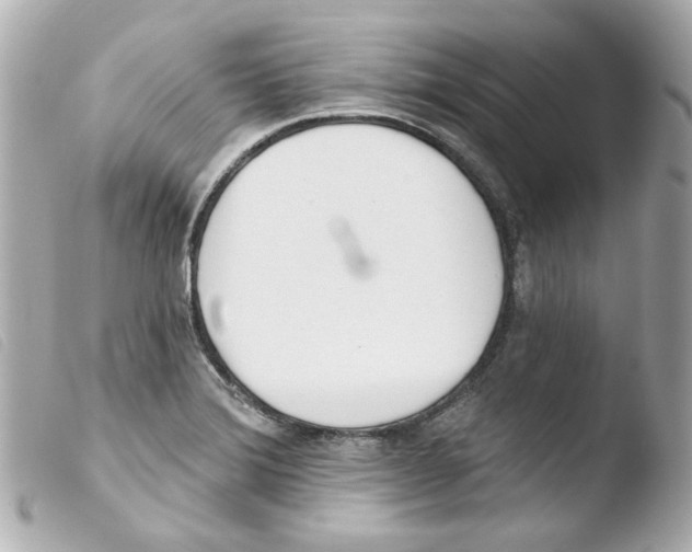 X0000103471372200810100925
