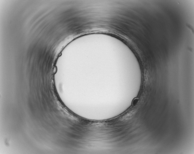 X0000103471373200810100925