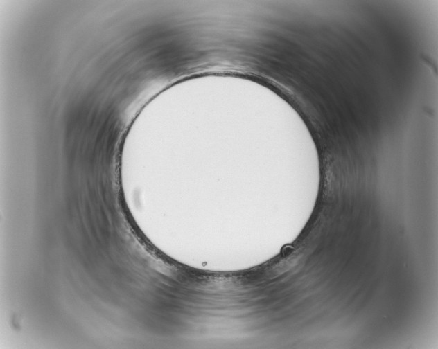 X0000103471375200810100925