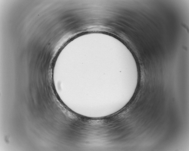 X0000103471376200810100925