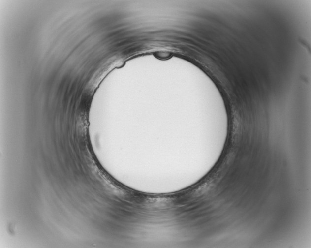 X0000103471377200810100925