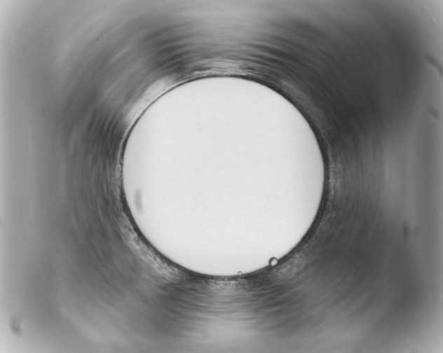 X0000103471378200810100925