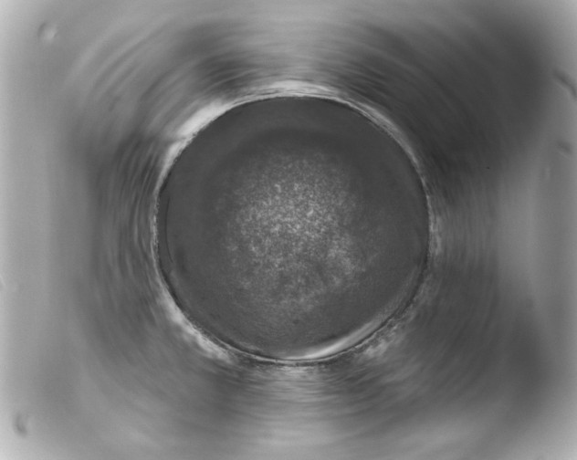 X0000103471381200810100925