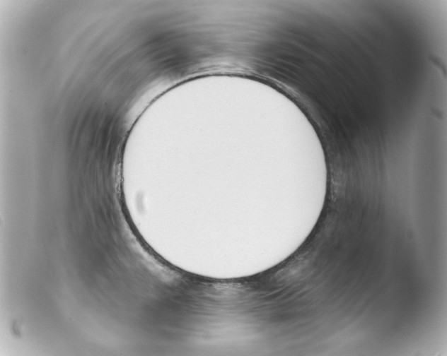 X0000103471383200810100925