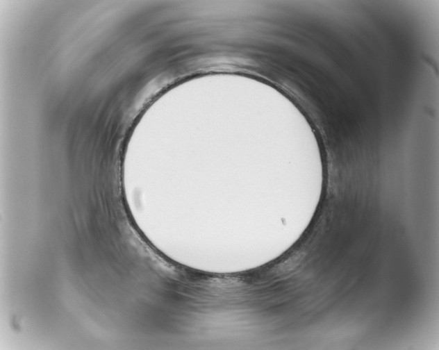 X0000103471384200810100925