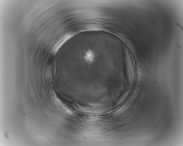 X0000103471385200810100925
