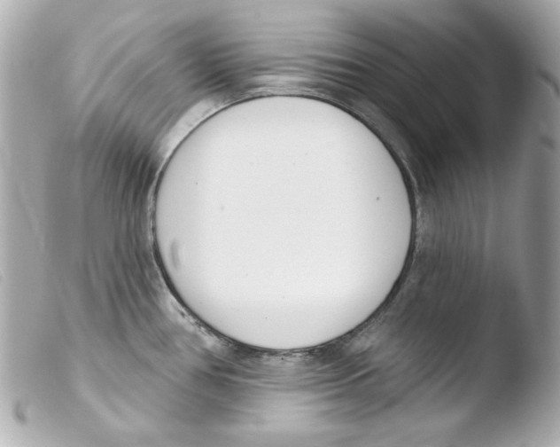 X0000103471386200810100925