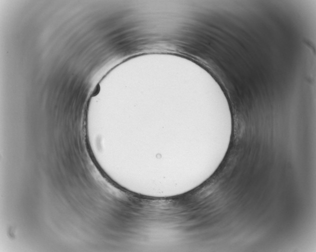 X0000103471387200810100925