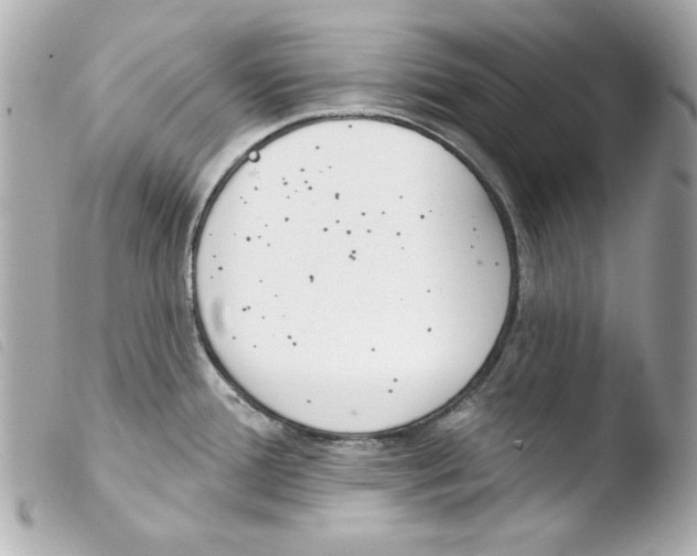 X0000103471388200810100925
